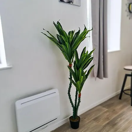 Ng Suitehome: Tourcoing Apartment with Netflix & Free Parking Exterior photo