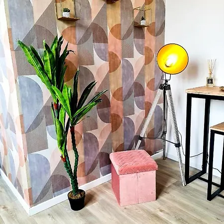 Ng Suitehome: Tourcoing Apartment with Netflix & Free Parking Exterior photo